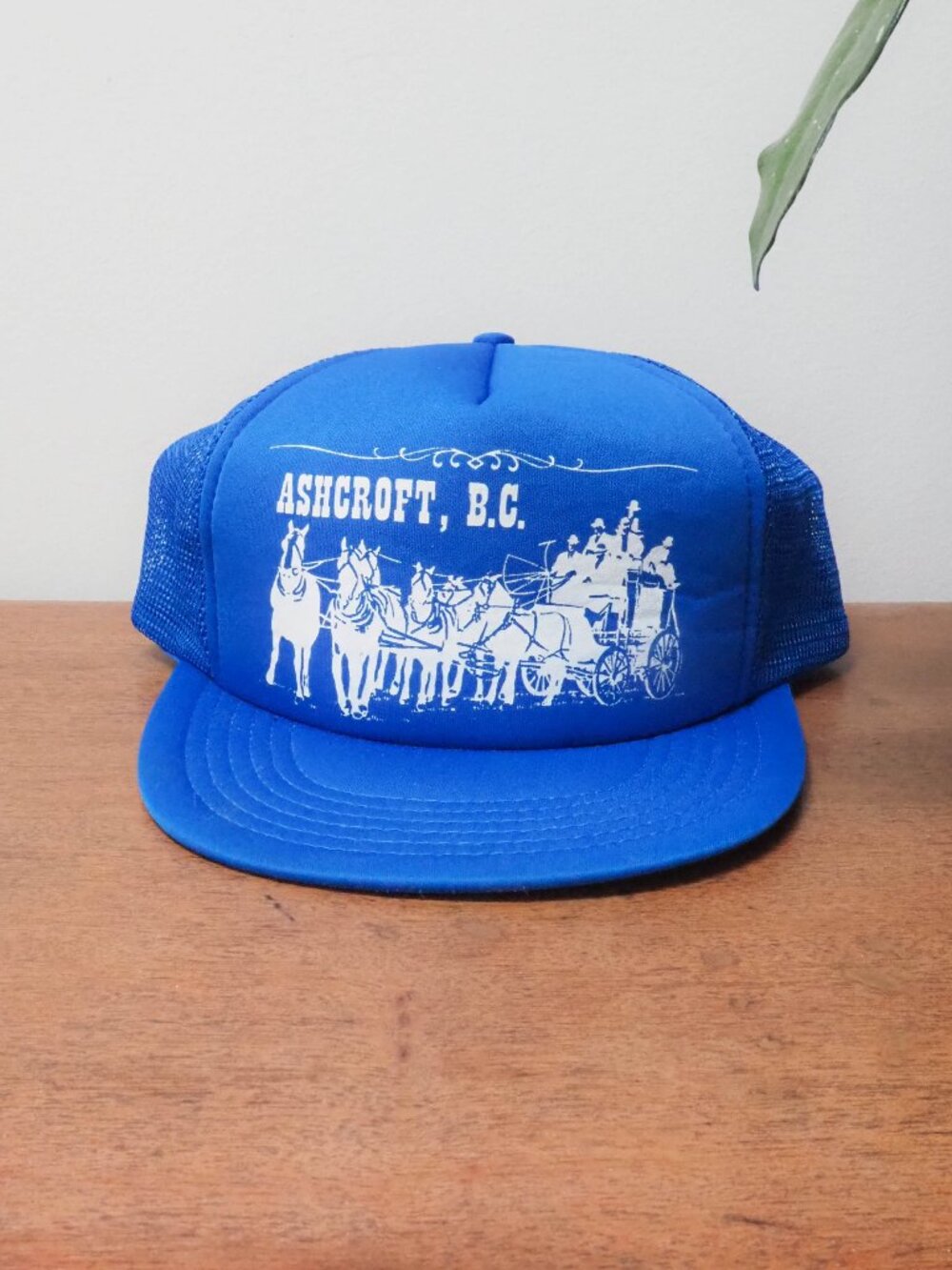 Ashcroft, B.C. Hat - Vintage Canada Snap Back Hat - SnapBack Baseball Cap